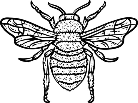 Bee Animal Coloring Page for Adult