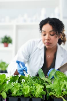 My aim is to double crop production. a female scientist experimenting with plants.