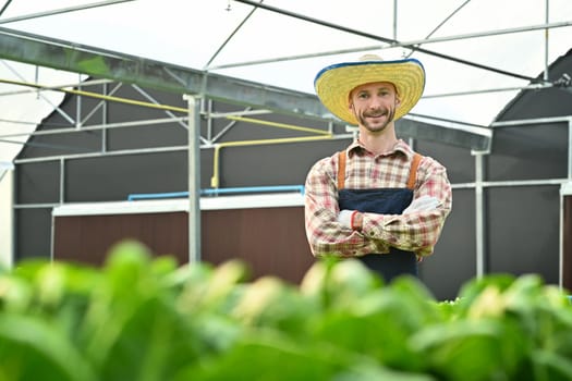 Image of confident caucasian man farmer standing with crossed arms in organic lettuce hydroponic greenhouse