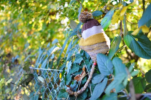 Knitted hat with pom pom on a wire mesh fence