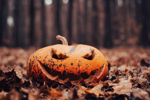 Scary photo of halloween pumpkin in dark autumn forest