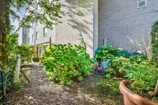 the side yard of a brick apartment building with plants