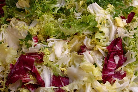 Heap of fresh mixed lettuce salad