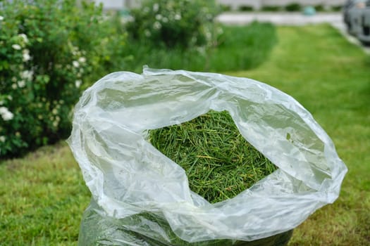 Freshly cut lawn grass in a package