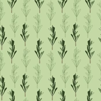 Seamless pattern of green rosemary leaves. Medicinal plant. A fragrant plant for seasoning. Rosemary herb for a design element.
