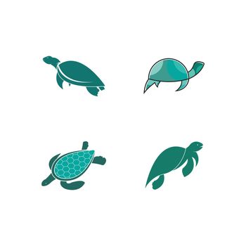 turtle animal cartoon icon image vector