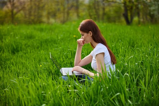 female freelancer working in nature sitting in the grass in nature with a laptop