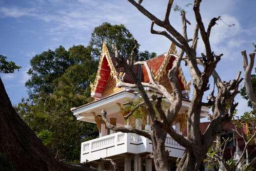 A traditional Thai gazebo in a park of dead trees
