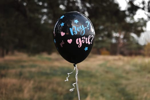 Celebration gender Party on nature. Black baloon with the inscription Boy and Girl moving in the air. Expectant parents are having a gender reveal party. Expecting baby. Baby shower.
