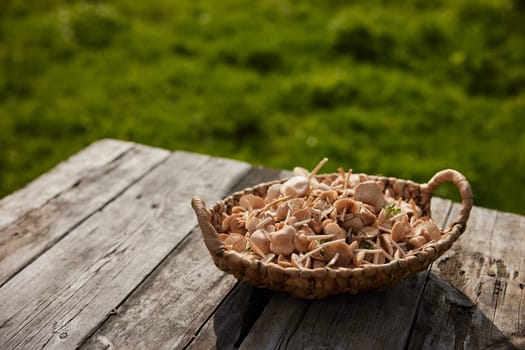 a basket of mushrooms stands on the edge of the table