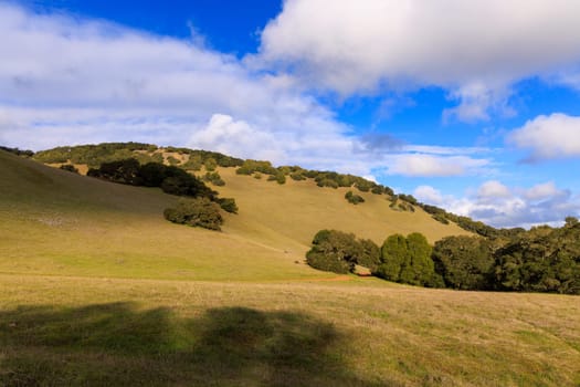 Green grassy hills in Northern California landscape with blue sky and clouds