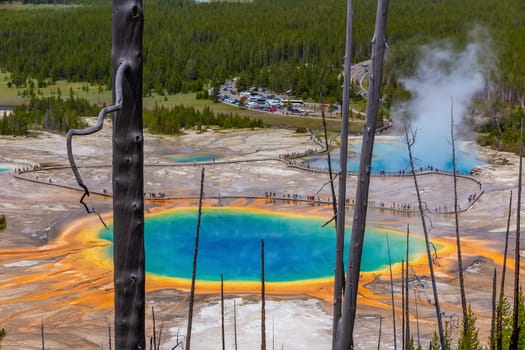 The Grand Prismatic Spring in Yellowstone National Park USA 