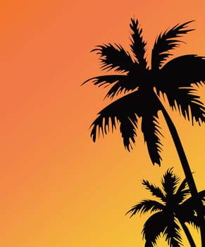Palm tree silhouette against the sky at sunset. Summer holidays background. Sunset View Poster. Vector resort wallpaper