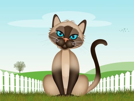 illustration of the Siamese cat in the grass