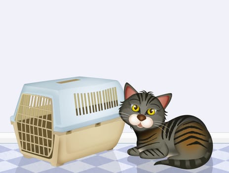 pet carrier for cats