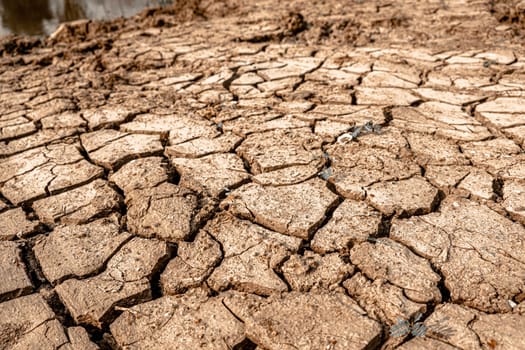 Dry and cracked land, dry due to lack of rain