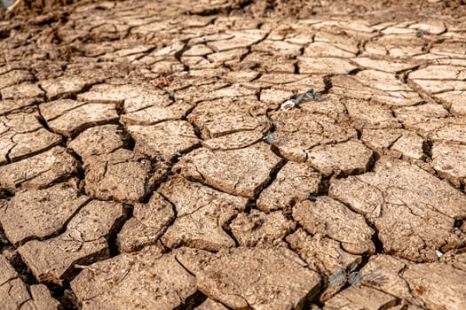 Dry and cracked land, dry due to lack of rain