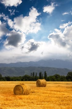 Two Haystack rolls on an scenic agricultural field in the foothills of central asia with copy space. Vertical