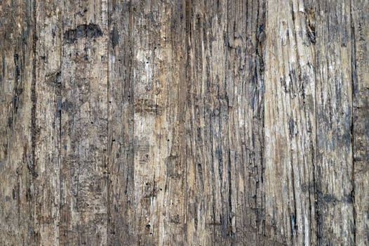 The surface of the old brown wooden wall. Pattern on the old bark wood texture use as natural background.