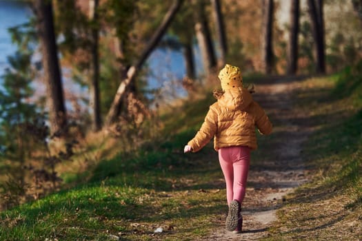 Rear view of little girl in warm clothes that walks on footpath in forest