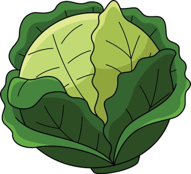 Cabbage Vegetable Cartoon Colored Clipart