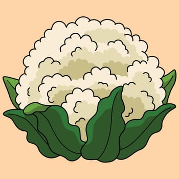 Cauliflower Vegetable Colored Cartoon Illustration