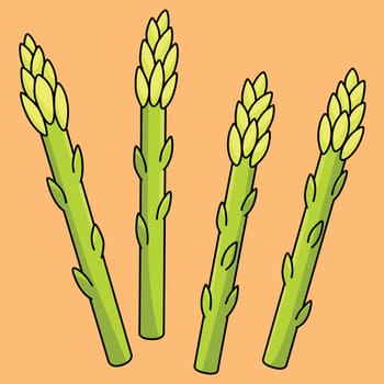 Asparagus Vegetable Colored Cartoon Illustration