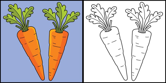 Carrots Vegetable Coloring Page Illustration