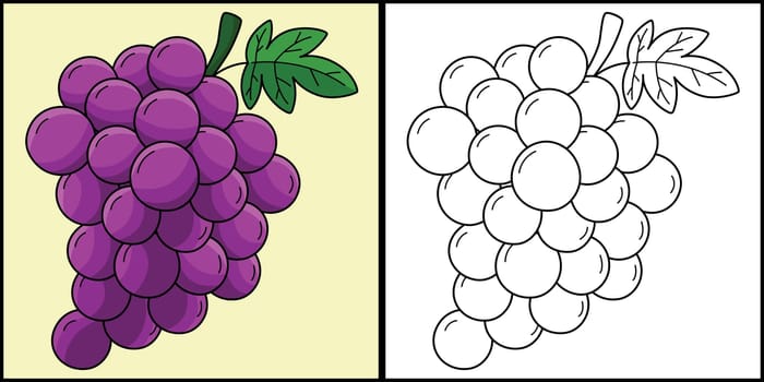Grapes Fruit Coloring Page Colored Illustration