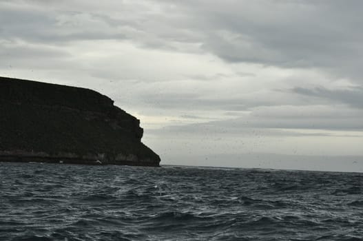 Beautiful view of Puffin Island, Iceland on a cloudy day