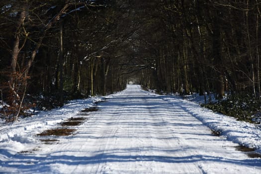 Beautiful view of a snow-covered dirt road near Huenxe, Germany