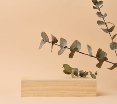 Wooden podium and eucalyptus branch on a beige background, a place for displaying and advertising products