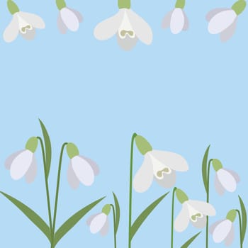 Background of snowdrops. The first spring flowers. Delicate snowdrop flowers for your design.Vector illustration.