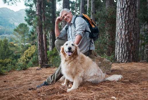 Man, hiking and happy dog outdoor in nature for exercise, fitness and trekking for health and wellness. Senior male and pet animal portrait on hike in forest for workout and cardio with backpack