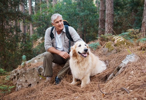 Adventure, hiking and old man with his dog, pet or animal in the winter forest for exercise, workout or fitness. Trekking, travel and elderly or senior male relax in the woods with a puppy on holiday