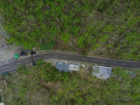 aerial view of road in the forest