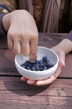 hand pick fresh blue berry