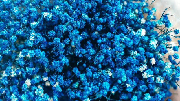 A close up of a bunch of blue flowers