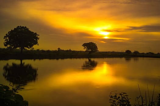 Golden hour during sunrise over the lake with trees in Gresik, East Java. Indonesia.