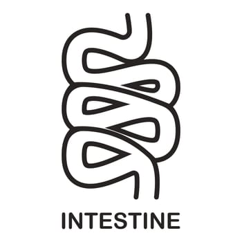 intestine simple icon