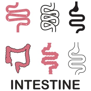 intestine simple icon