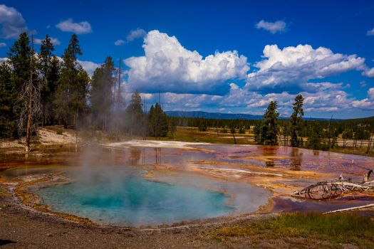 Firehole Spring in Yellowstone