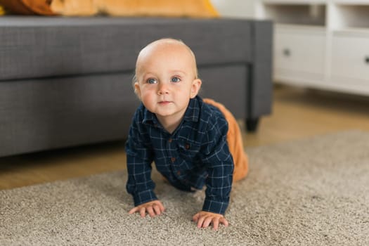 Nursery baby boy crawling on floor indoors at home copy space and empty space for text - Baby curiosity and child development stages