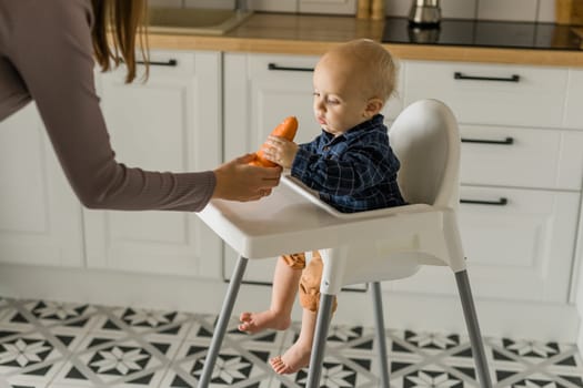 Baby boy sitting in baby chair eating carrot on kitchen background copy space - baby feeding concept