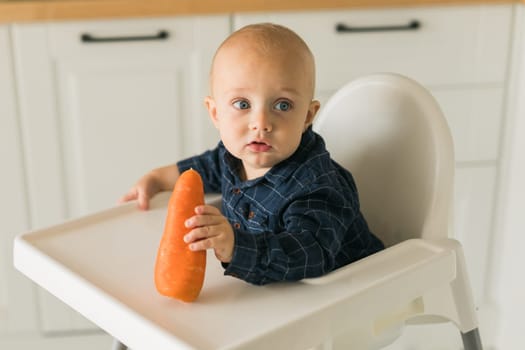 Little boy in a blue t-shirt sitting in a child's chair eating carrot copy space and empty space for text - baby care and infant child feeding concept