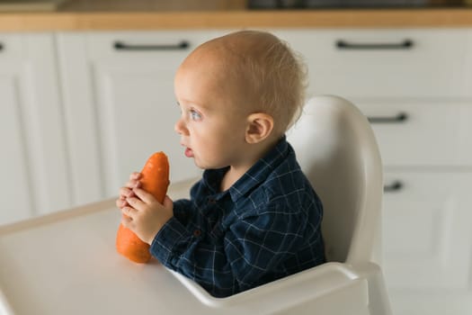 Happy baby sitting in high chair eating carrot in kitchen copy space. Healthy nutrition for kids. Bio carrot as first solid food for infant. Children eat vegetables. Little boy biting raw vegetable.