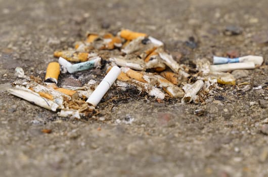Discarded cigarette butts on the street pollute the environment