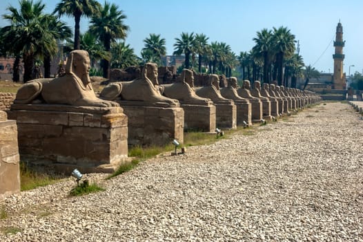 Sphinxes alley in Amon temple