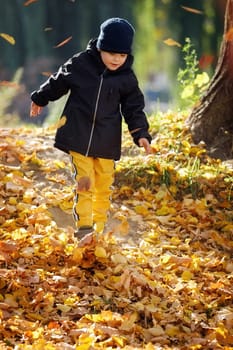 A cute boy in a sunny autumn park covered with a thick layer of yellow maple leaves going down from hill
