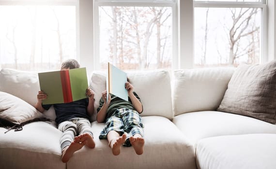 Books have a lot to teach us. two adorable brothers reading books while relaxing together on the sofa at home.